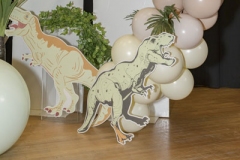 Dinosaur Party