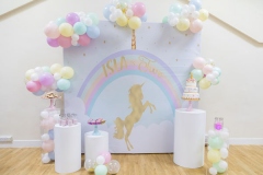 Fairy Princess Unicorn Pastel Theme