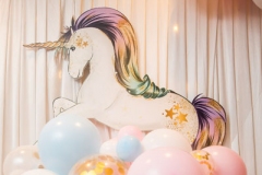 Fairy Princess Unicorn Pastel Theme