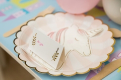 Fairy Princess Unicorn Pastel Theme