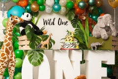 Jungle Safari Lion King Madagascar Themes