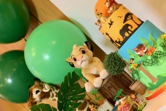 Jungle Safari Lion King Madagascar Themes