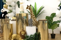 Jungle Safari Lion King Madagascar Themes