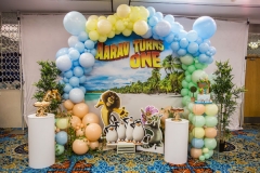 Jungle Safari Lion King Madagascar Themes