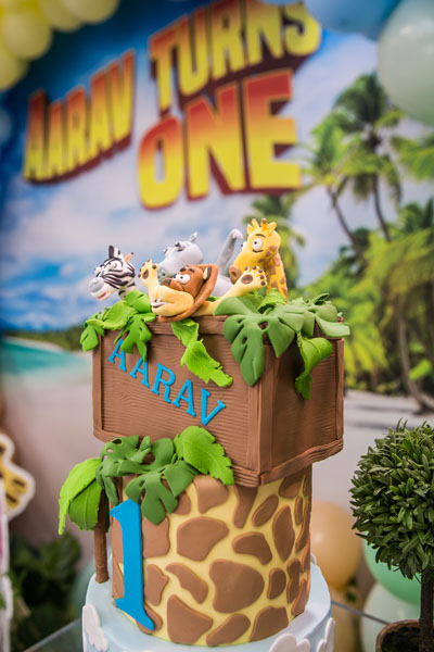 mini_maniacs_madagascar_party_photography-48.jpg